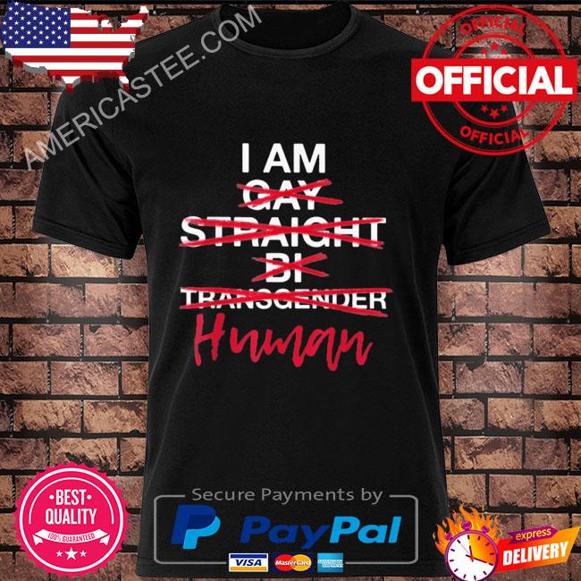 I am human gay straight bi trans world human rights day shirt