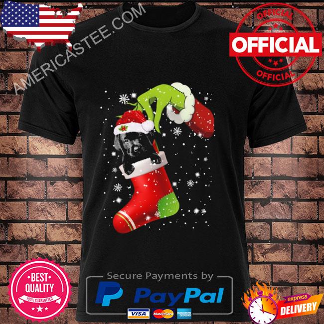 The grinch hand santa labrador pug 2022 Christmas sweater