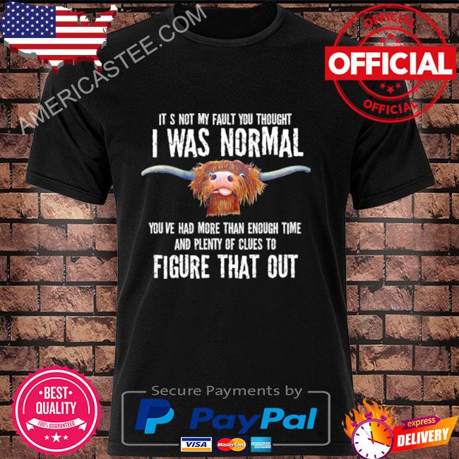 It’s Not My Fault You Thought I Was Normal You’ve Had More Than Enough Time Shirt