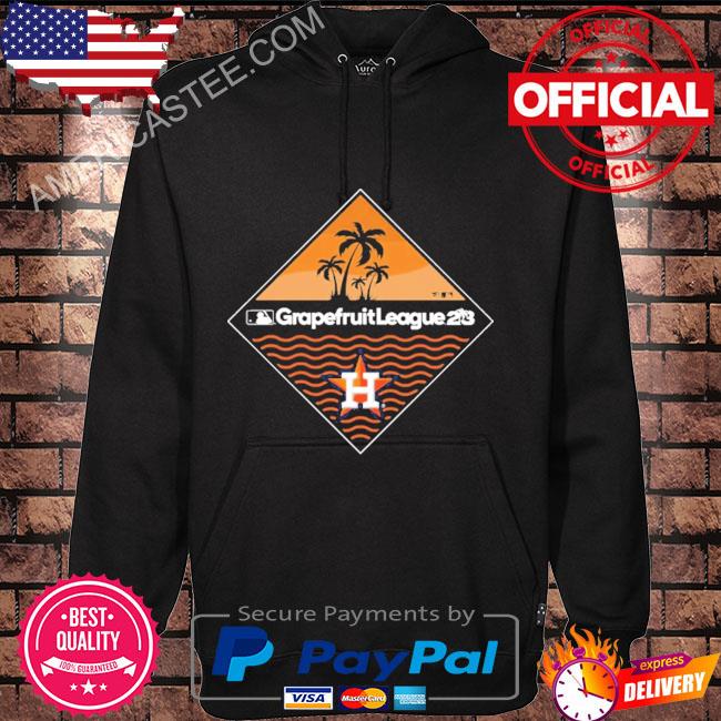 MLB Hooded Long sleeve Astros