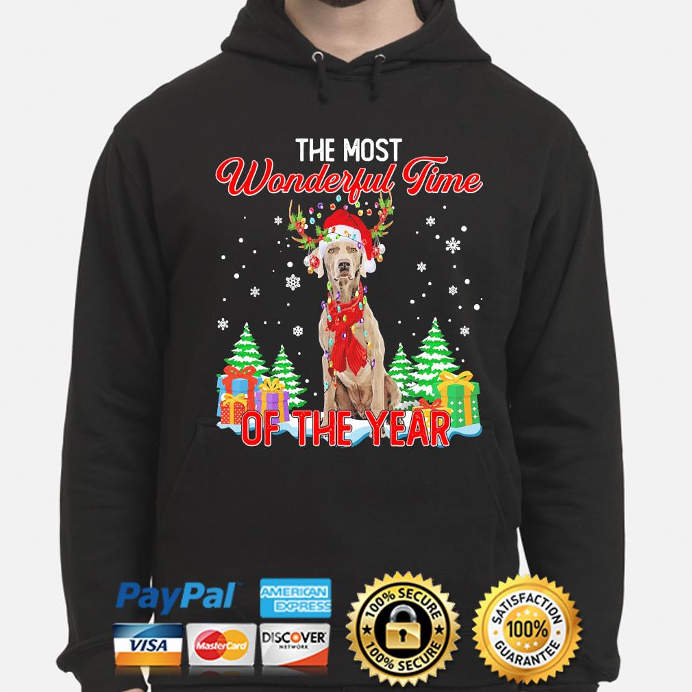 weimaraner christmas sweater